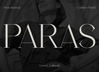 Paras Font preview image 1