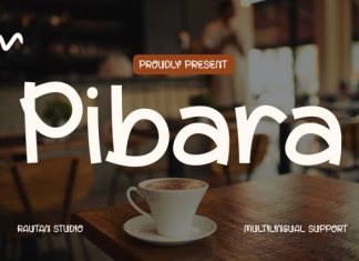 Pibara Font preview image 1