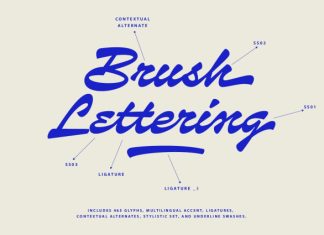 Pinbrush Font preview image 1