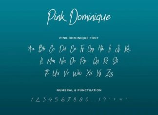 Pink Dominique Signature Font preview image 3