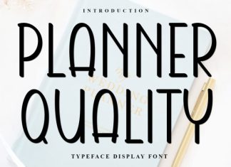 Planner Quality Font preview image 1