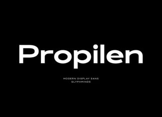 Propilen Font preview image 1