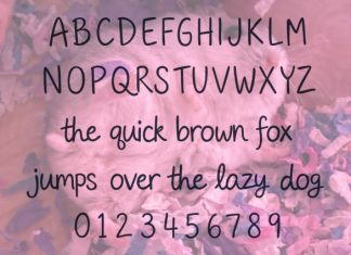 Proud Hammy Mom Font preview image 2