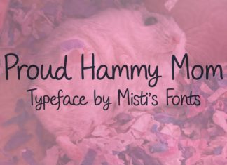 Proud Hammy Mom Font preview image 1