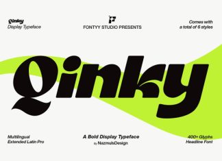 Qinky – Bold Sans Display Font preview image 1