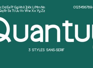 Quantuy Font preview image 1