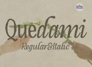 Quedami – Serif Font preview image 1
