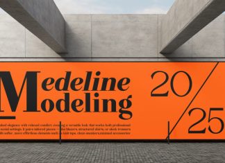 Quinela – Modern Serif Font preview image 3