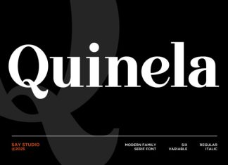 Quinela – Modern Serif Font preview image 1