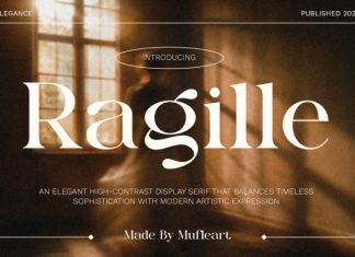 Ragille – Elegant Display Serif Font preview image 1