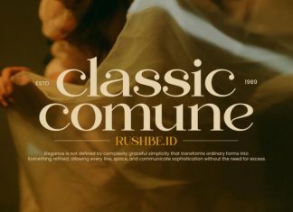 Regani – Modern Serif Typeface Font preview image 3