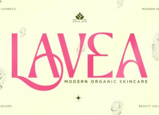 Rekova Marove Serif Font preview image 2