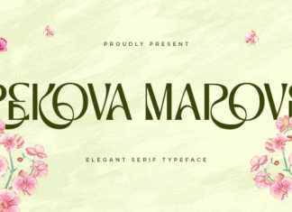 Rekova Marove Serif Font preview image 1