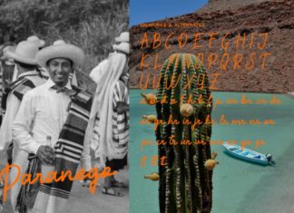 Reposida Brush Font preview image 3