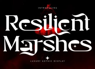 Resilient Marshes – Fantasy Font preview image 1