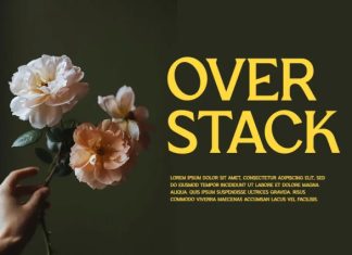 Retro Groove Vintage Serif Font preview image 3