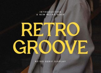 Retro Groove Vintage Serif Font preview image 1