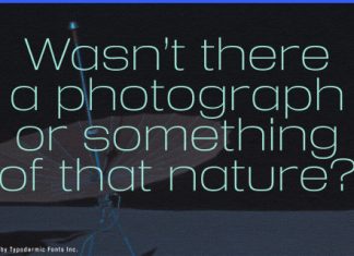 Reversal Font Family preview image 2