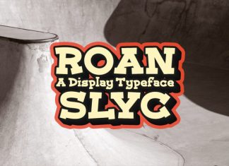 Roan Slyc – Slab Serif Typeface Font preview image 3