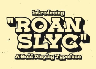 Roan Slyc – Slab Serif Typeface Font preview image 1