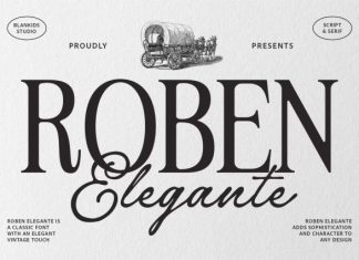 Roben Elegante Font Duo preview image 1