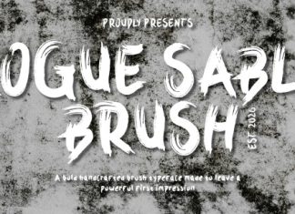 Rogue Sable Bold Brush Font preview image 1