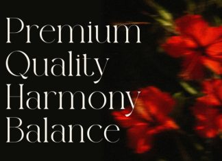 Rolling Fonte Font preview image 3