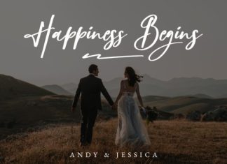 Rollingdoor Script Font preview image 2