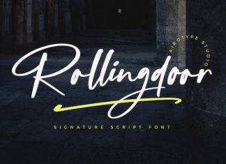 Rollingdoor Script Font preview image 1