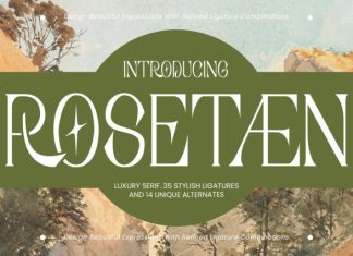 Rosetaen Serif Font preview image 1