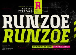Runzoe – Modern Sans Serif Display Typeface Font preview image 1