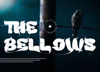 SHIFTING BORDERS – LIQUID FONT preview image 2