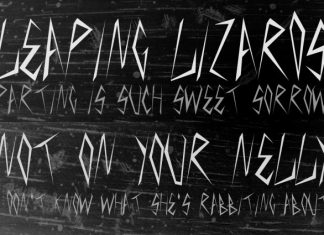 SIN LIES SCORN Font preview image 2