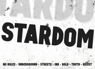 STARDOM Sans Serif Font preview image 1