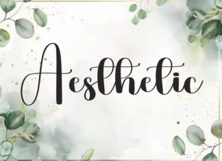 Sample Vacation Font preview image 3