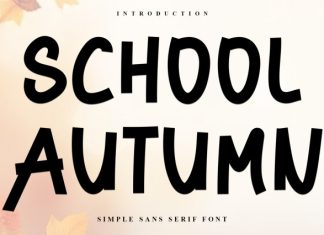 School Autumn Font preview image 1