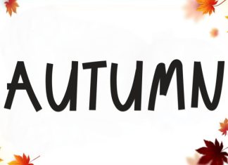 Season Vocation Font preview image 3