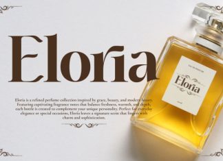 Shalli Serif Font preview image 2