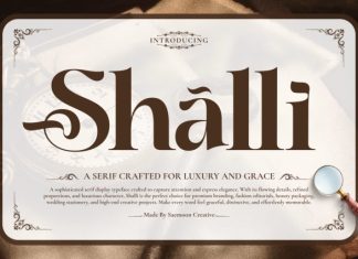 Shalli Serif Font preview image 1