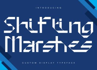 Shifting Marshes Demo Font preview image 1