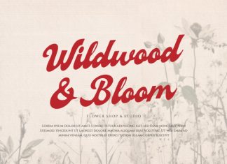Signage Heritage Font preview image 1