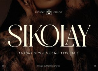 Sikolay – Elegant Luxury Serif Font preview image 1