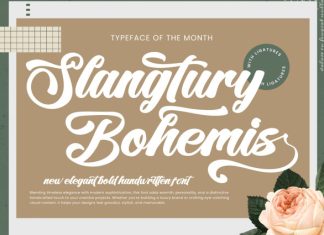 Slangtury Bohemis Font preview image 1