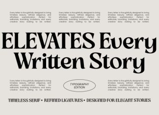 Slow Bar Stories Font preview image 3