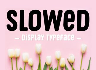 Slowed Font preview image 1