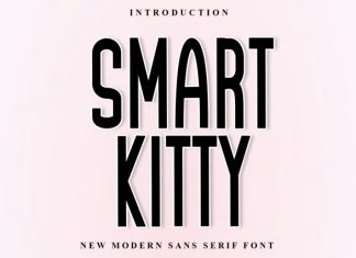 Smart Kitty Font preview image 1