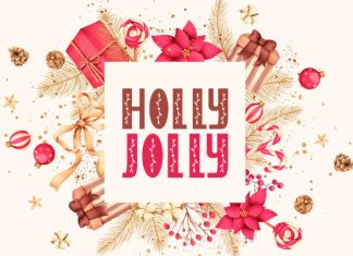 Sonia Diary Font Family preview image 2