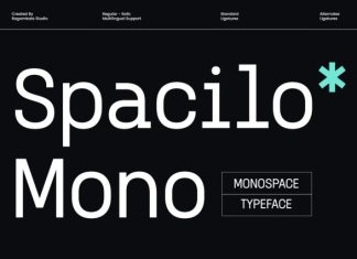 Spacilo Mono – Coding Monospace Font preview image 1