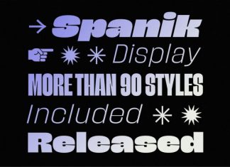 Spanik Demo Font Family preview image 3
