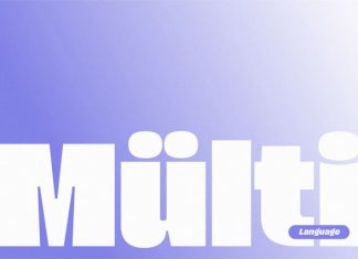 Spanik Demo Font Family preview image 2